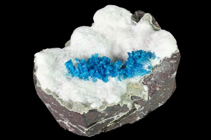 Vibrant Blue Cavansite Clusters on Stilbite & Mordenite - India #168246